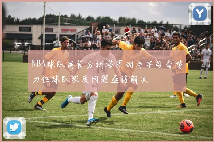 NBA球队高管分析塔图姆与字母哥潜力但球队深度问题亟待解决