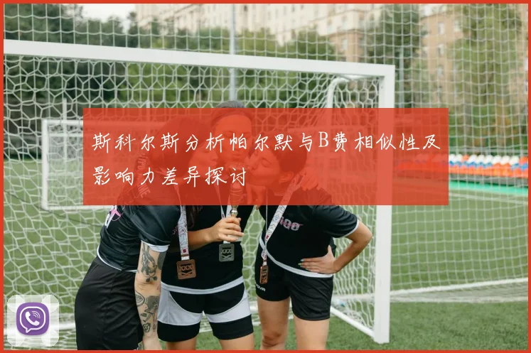 斯科尔斯分析帕尔默与B费相似性及影响力差异探讨