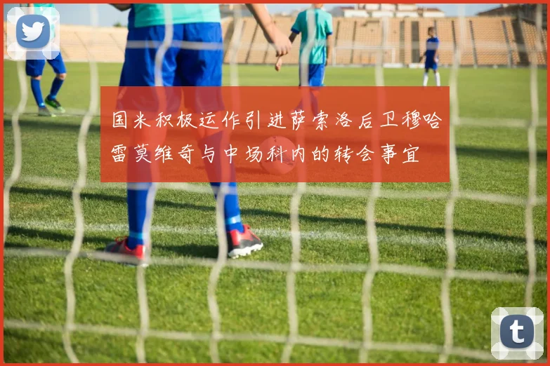 国米积极运作引进萨索洛后卫穆哈雷莫维奇与中场科内的转会事宜